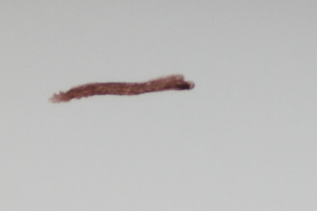 Lip liner 9